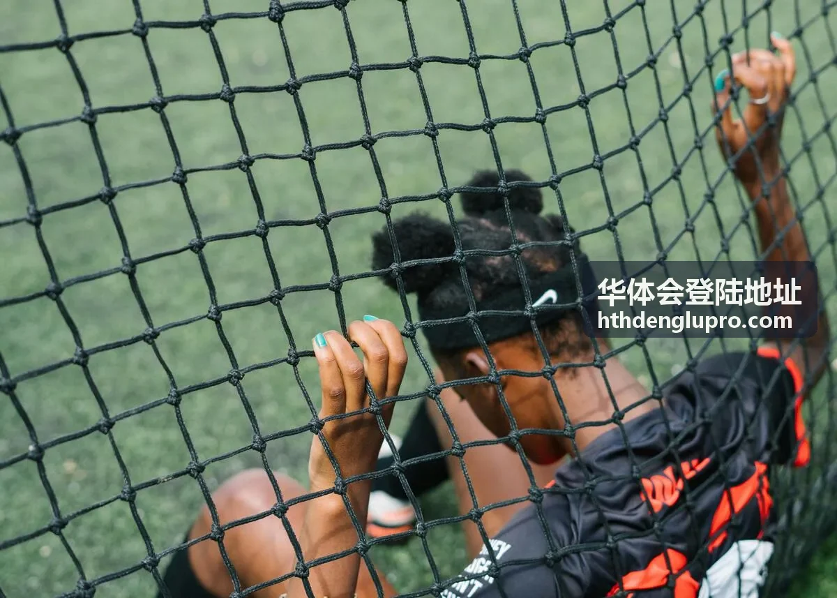 华体会登陆地址会员评价
