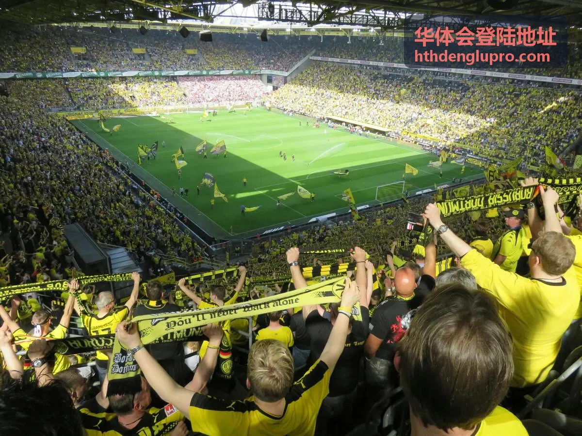 华体会登陆地址快速入口反馈